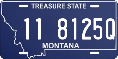 MT license plate 118125Q