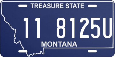 MT license plate 118125U