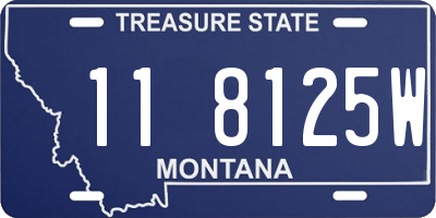 MT license plate 118125W