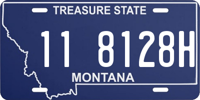 MT license plate 118128H