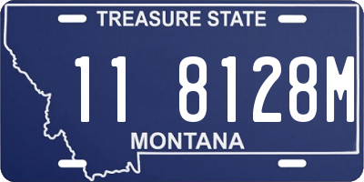 MT license plate 118128M