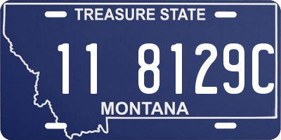 MT license plate 118129C