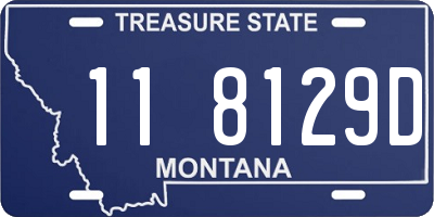 MT license plate 118129D
