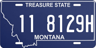 MT license plate 118129H