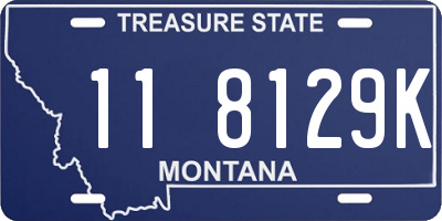 MT license plate 118129K