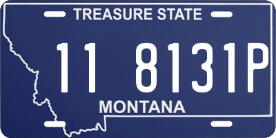 MT license plate 118131P