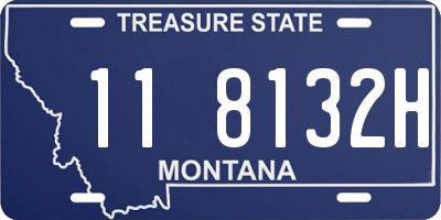 MT license plate 118132H