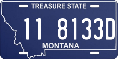 MT license plate 118133D