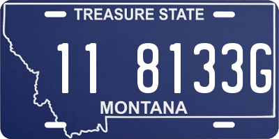MT license plate 118133G