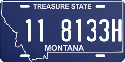MT license plate 118133H