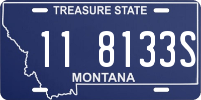 MT license plate 118133S