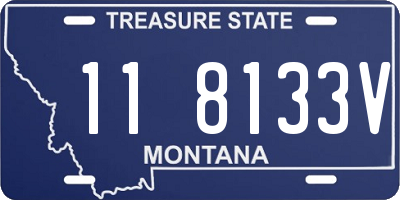 MT license plate 118133V