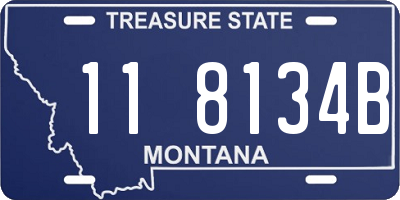 MT license plate 118134B