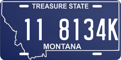 MT license plate 118134K