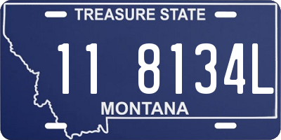 MT license plate 118134L