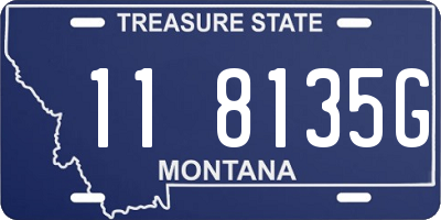 MT license plate 118135G
