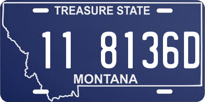 MT license plate 118136D