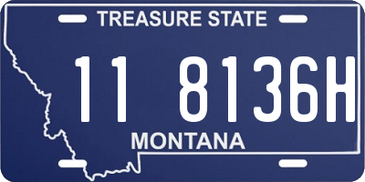 MT license plate 118136H