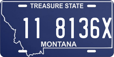 MT license plate 118136X