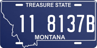 MT license plate 118137B