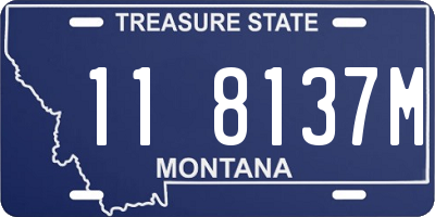 MT license plate 118137M