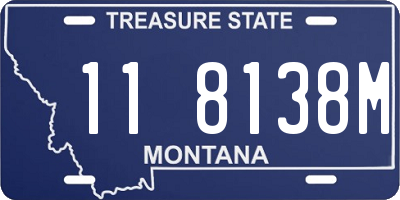 MT license plate 118138M