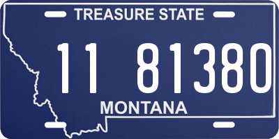 MT license plate 118138O