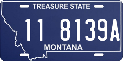 MT license plate 118139A