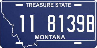 MT license plate 118139B
