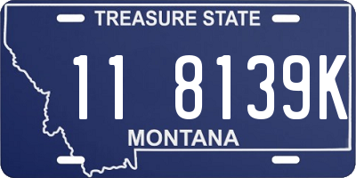 MT license plate 118139K