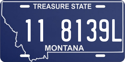 MT license plate 118139L