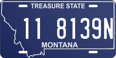 MT license plate 118139N