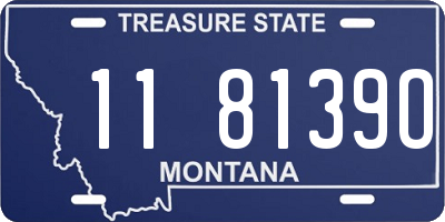MT license plate 118139O