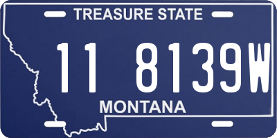 MT license plate 118139W