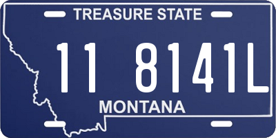 MT license plate 118141L