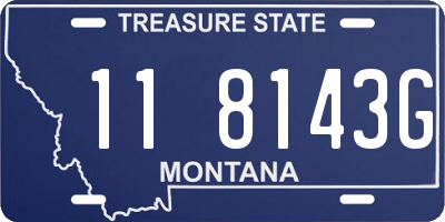 MT license plate 118143G