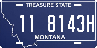 MT license plate 118143H