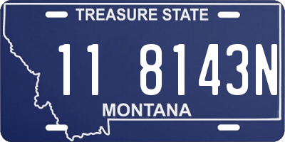 MT license plate 118143N