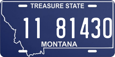 MT license plate 118143O