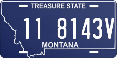 MT license plate 118143V