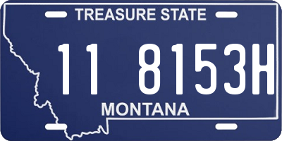 MT license plate 118153H