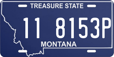 MT license plate 118153P