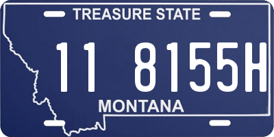 MT license plate 118155H