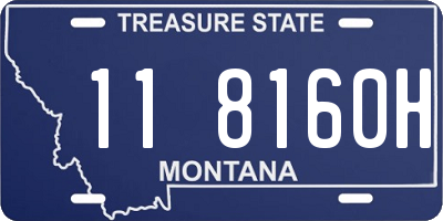 MT license plate 118160H