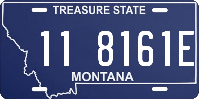 MT license plate 118161E