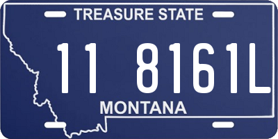 MT license plate 118161L