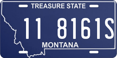 MT license plate 118161S