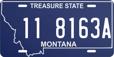 MT license plate 118163A