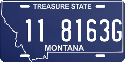 MT license plate 118163G