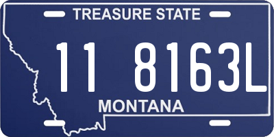 MT license plate 118163L